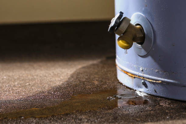 Best Fire Damage Restoration  in Salem, SD