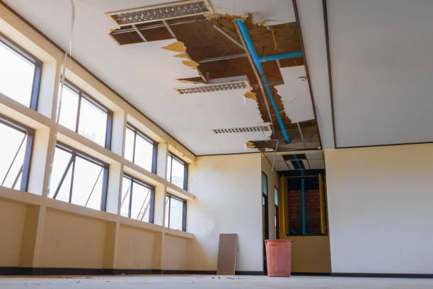 Best Local water damage restoration  in Salem, SD