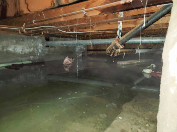 Water damage restoration process in SD
