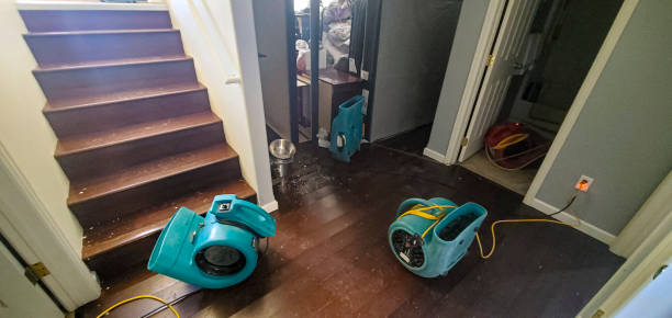 Best Commercial water damage restoration  in Salem, SD
