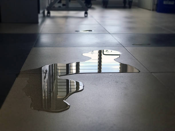 Best 24/7 water damage repair  in Salem, SD
