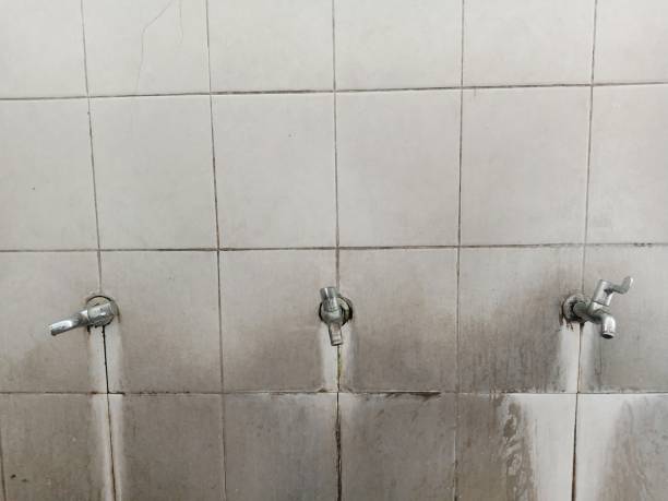 24/7 water damage repair in SD