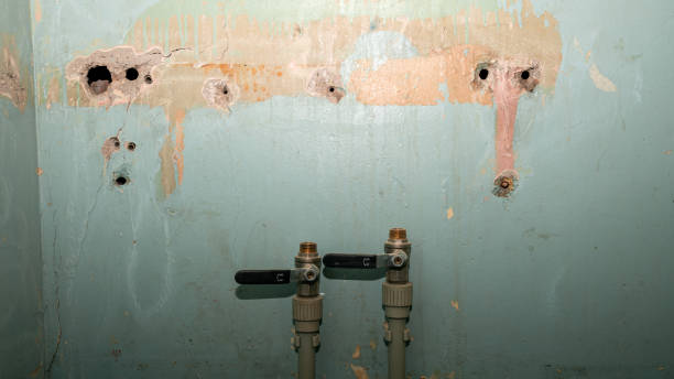 Best Flood damage cleanup  in Salem, SD