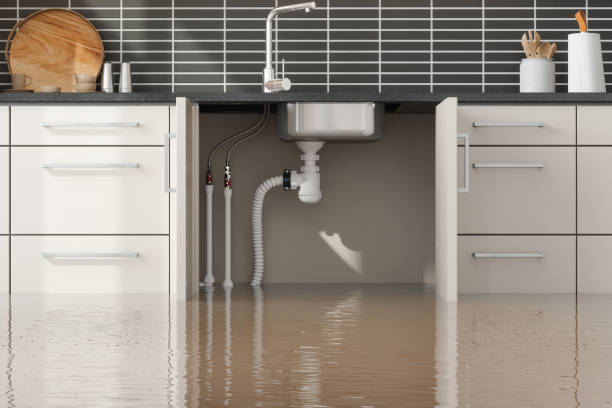 Best Emergency water extraction  in Salem, SD