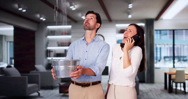 Best Basement water damage restoration  in Salem, SD