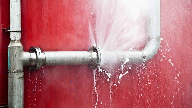 Best Mold removal after water damage  in Salem, SD